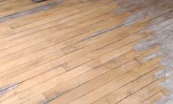 renovation parquet